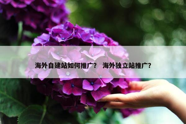 海外自建站如何推广？ 海外独立站推广？