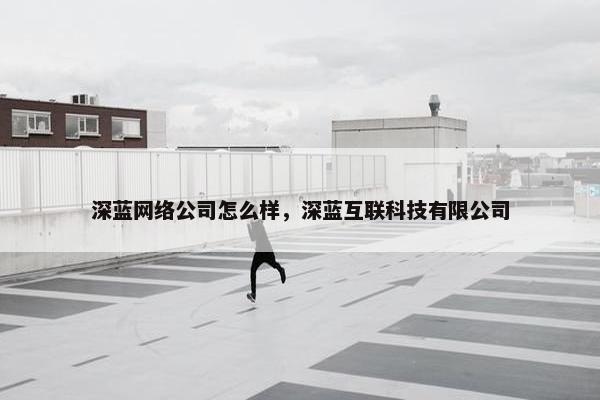 深蓝网络公司怎么样，深蓝互联科技有限公司