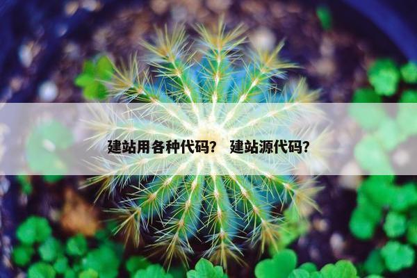 建站用各种代码？ 建站源代码？
