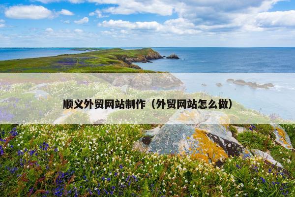 顺义外贸网站制作（外贸网站怎么做）