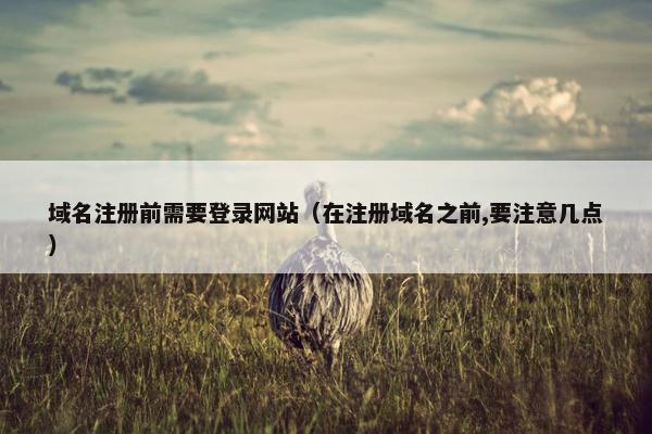 域名注册前需要登录网站（在注册域名之前,要注意几点）