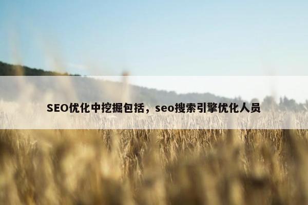 SEO优化中挖掘包括，seo搜索引擎优化人员