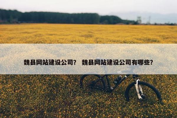 魏县网站建设公司？ 魏县网站建设公司有哪些？
