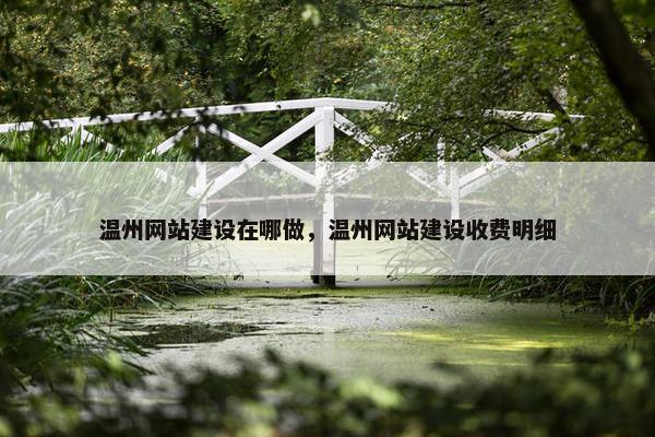 温州网站建设在哪做，温州网站建设收费明细