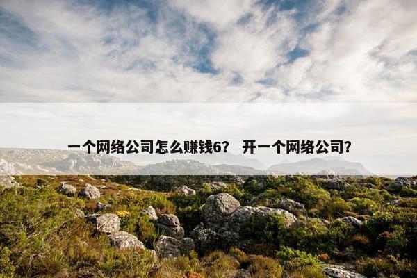 一个网络公司怎么赚钱6？ 开一个网络公司？