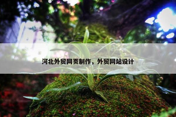 河北外贸网页制作，外贸网站设计