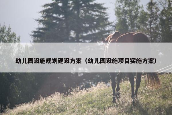 幼儿园设施规划建设方案（幼儿园设施项目实施方案）