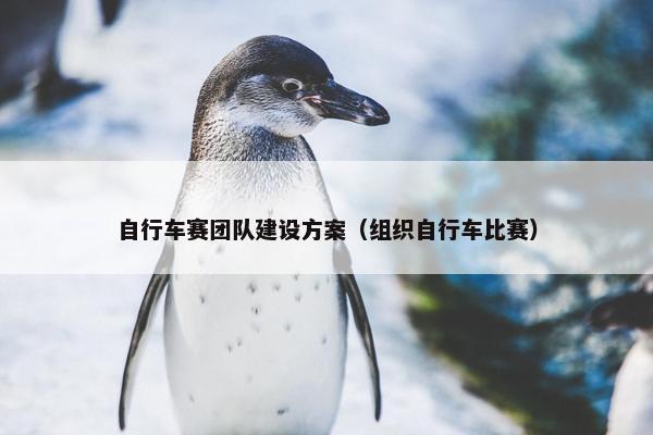 自行车赛团队建设方案（组织自行车比赛）