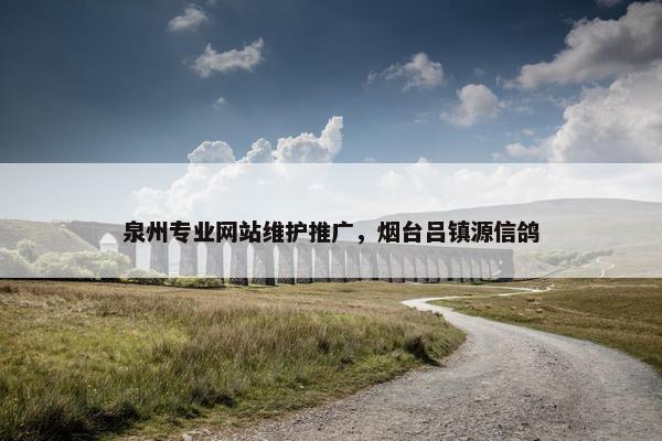 泉州专业网站维护推广，烟台吕镇源信鸽