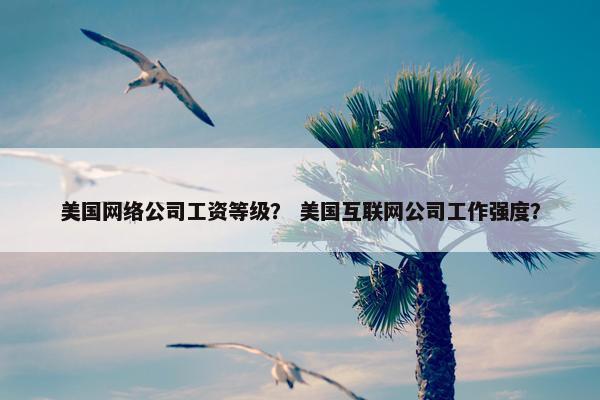 美国网络公司工资等级？ 美国互联网公司工作强度？
