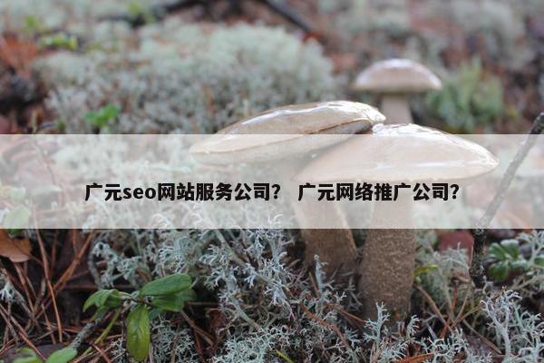 广元seo网站服务公司？ 广元网络推广公司？