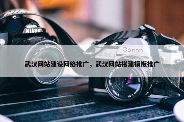 武汉网站建设网络推广，武汉网站搭建模板推广