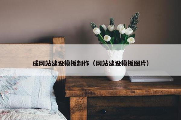 成网站建设模板制作（网站建设模板图片）
