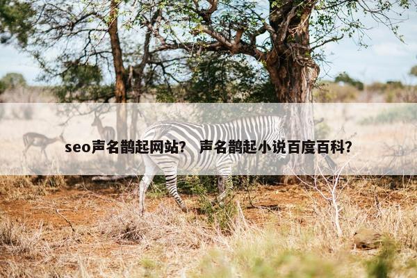 seo声名鹊起网站？ 声名鹊起小说百度百科？