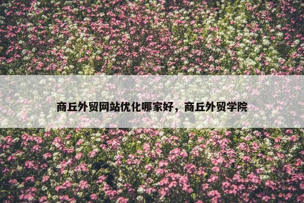 商丘外贸网站优化哪家好，商丘外贸学院