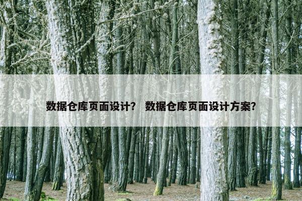 数据仓库页面设计？ 数据仓库页面设计方案？