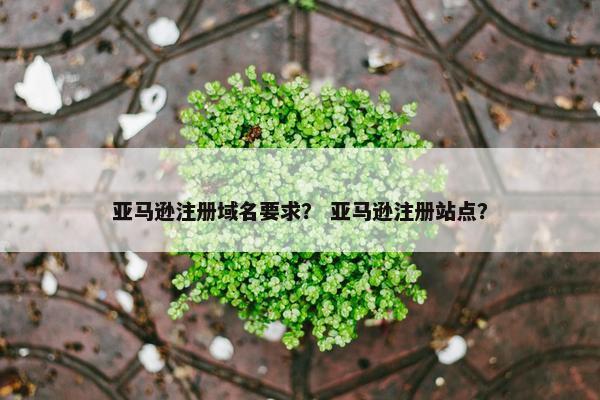 亚马逊注册域名要求？ 亚马逊注册站点？