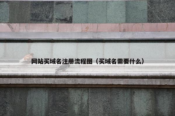 网站买域名注册流程图（买域名需要什么）