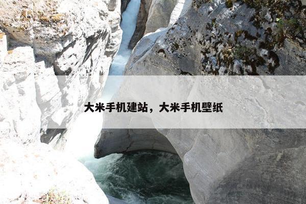 大米手机建站，大米手机壁纸