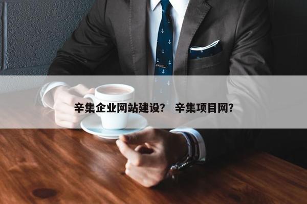 辛集企业网站建设？ 辛集项目网？