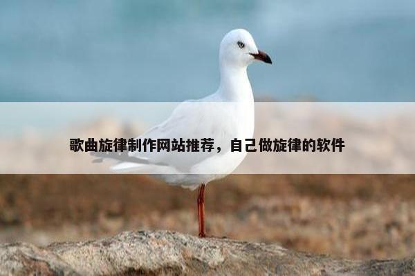歌曲旋律制作网站推荐，自己做旋律的软件