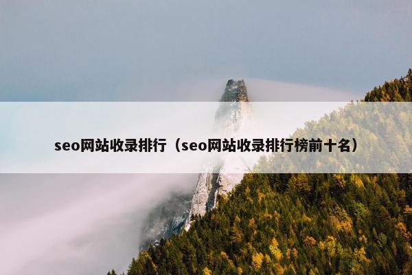 seo网站收录排行（seo网站收录排行榜前十名）