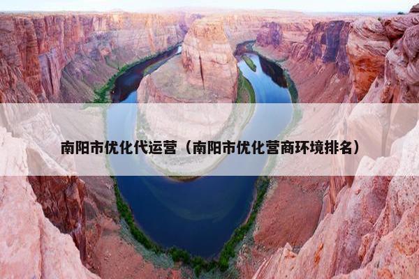 南阳市优化代运营（南阳市优化营商环境排名）