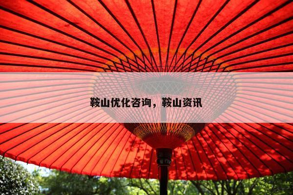 鞍山优化咨询，鞍山资讯
