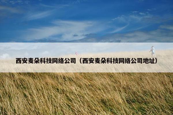 西安麦朵科技网络公司（西安麦朵科技网络公司地址）