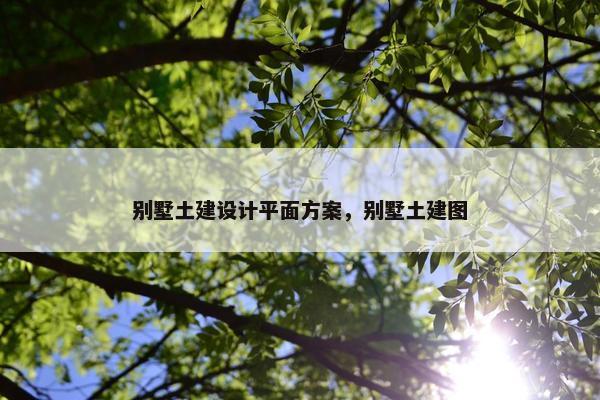 别墅土建设计平面方案，别墅土建图