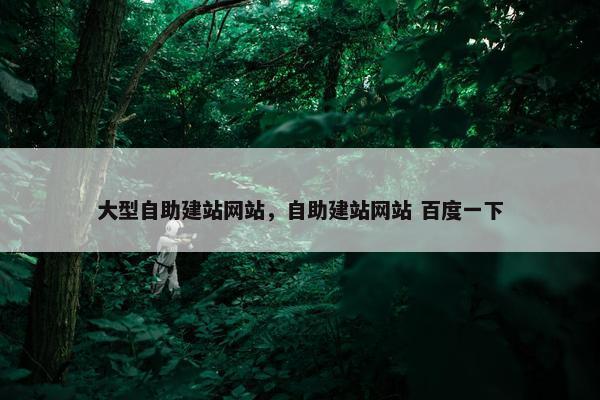 大型自助建站网站，自助建站网站 百度一下