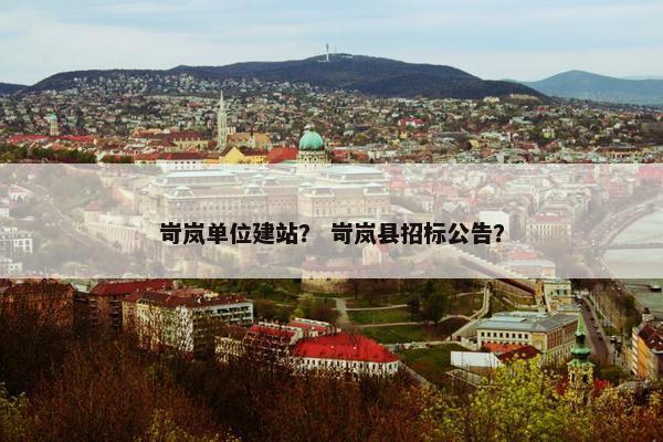岢岚单位建站？ 岢岚县招标公告？
