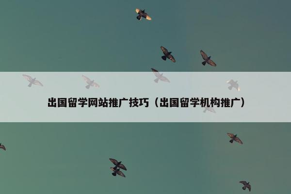 出国留学网站推广技巧（出国留学机构推广）