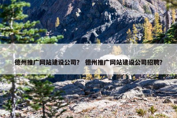 德州推广网站建设公司？ 德州推广网站建设公司招聘？