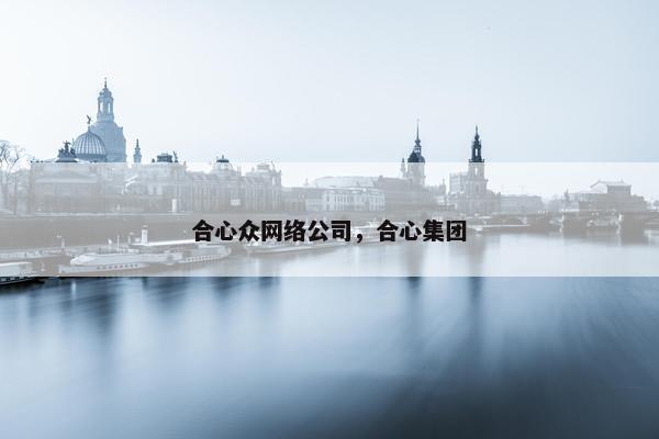 合心众网络公司，合心集团