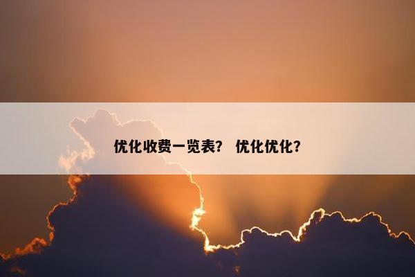 优化收费一览表？ 优化优化？