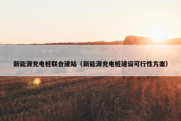 新能源充电桩联合建站（新能源充电桩建设可行性方案）