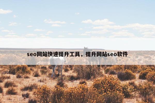 seo网站快速提升工具，提升网站seo软件