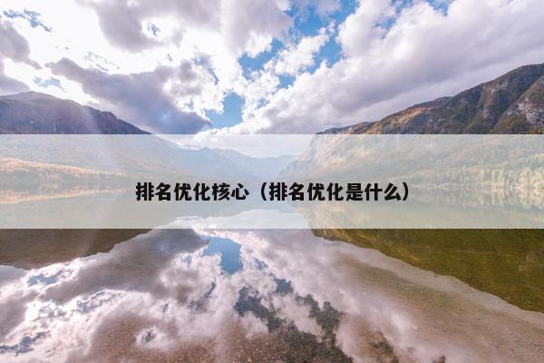 排名优化核心（排名优化是什么）
