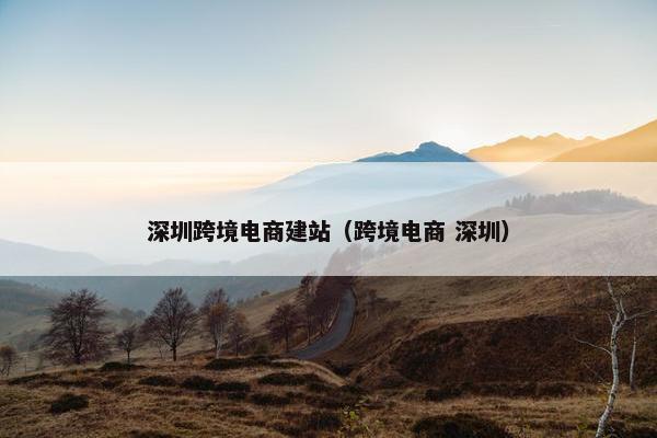深圳跨境电商建站（跨境电商 深圳）