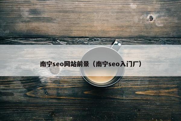 南宁seo网站前景（南宁seo入门厂）