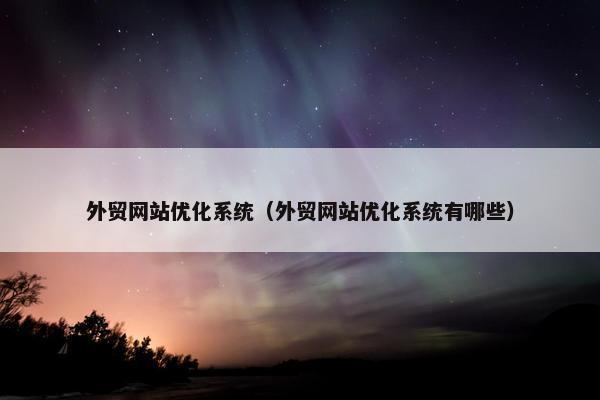外贸网站优化系统（外贸网站优化系统有哪些）