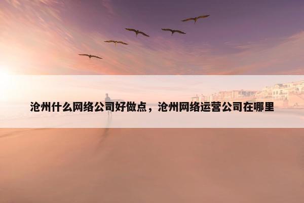 沧州什么网络公司好做点，沧州网络运营公司在哪里