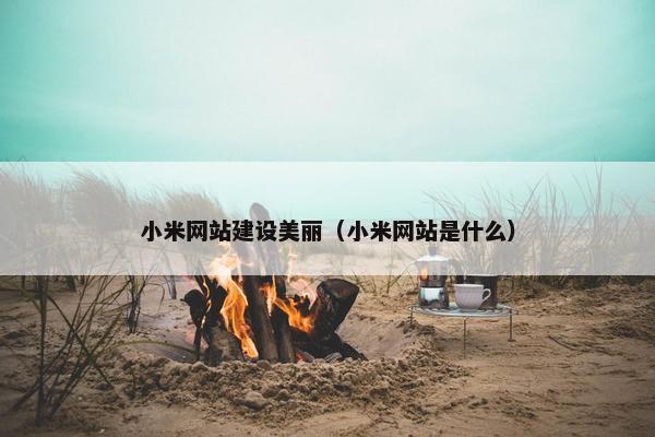 小米网站建设美丽（小米网站是什么）