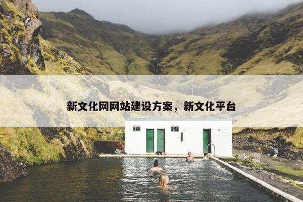 新文化网网站建设方案，新文化平台