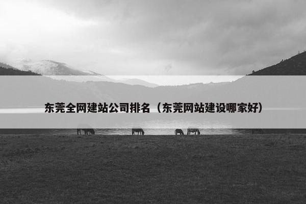 东莞全网建站公司排名（东莞网站建设哪家好）