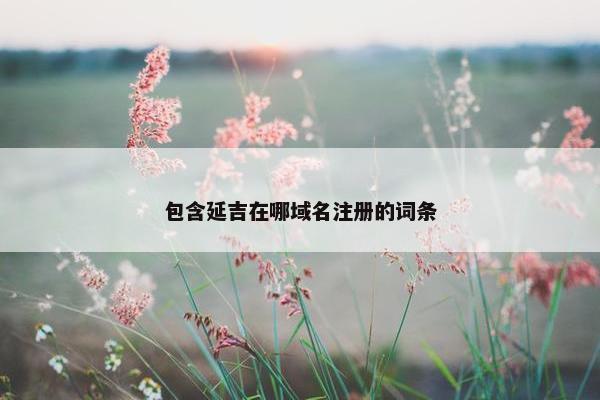 包含延吉在哪域名注册的词条