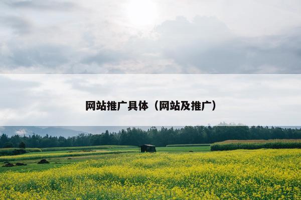 网站推广具体（网站及推广）