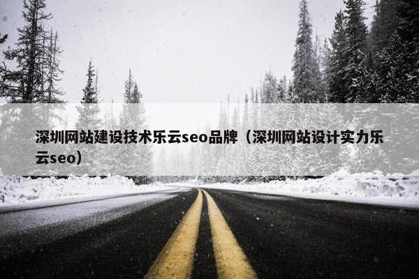 深圳网站建设技术乐云seo品牌（深圳网站设计实力乐云seo）