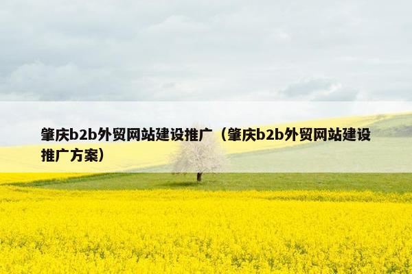 肇庆b2b外贸网站建设推广（肇庆b2b外贸网站建设推广方案）